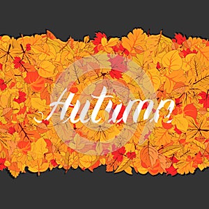 Autumn leaves fall isolated background. Golden autumn poster template. Vector illustration