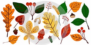 Autumn leaves. Fall orange yellow green foliage. Oak birch apple tree hand drawn elements with stamp texture, modern trendy