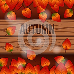 Autumn leaves fall with wood background and red background. promotion template. illustration.