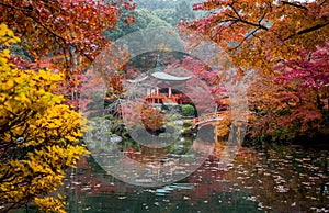 Autumn leaves falling at Daigoji Temple in Kyoto