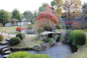 Autumn leaves in Flatly Landscaped Garden in Koko-en Garden, Himeji, Japan