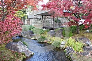 Autumn leaves in Flatly Landscaped Garden in Koko-en Garden, Himeji, Japan