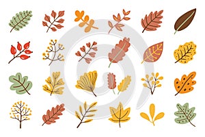 autumn leaves flower decoration element