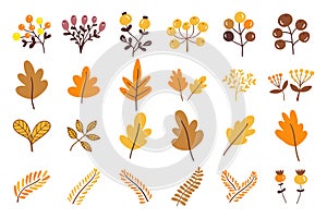 autumn leaves flower decoration element