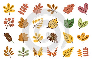 autumn leaves flower decoration element