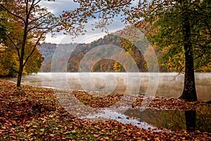 Autumn leaves by a foggy West Virginia River