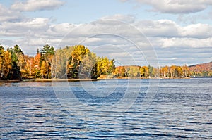 Autumn leaves forest shoreline