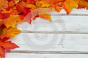 Autumn Leaves Frame Background