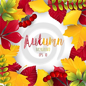 Autumn leaves frame background