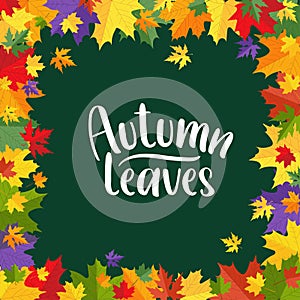 Autumn leaves frame background. Colorful fall leaves design for greeting card, banner