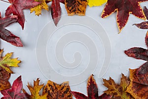 AUTUMN LEAVES FRAME BACKGROUNDS ON GRAY TEXTURED BACKGROUND