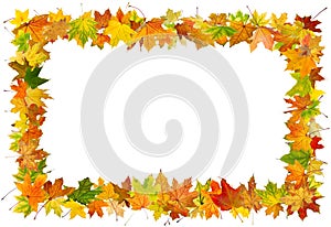 Autumn leaves frame