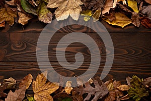 Autumn leaves frame over light wooden background with copy space