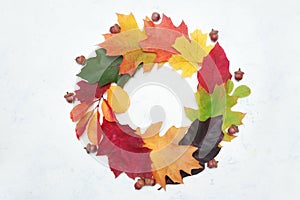 Autumn leaves frame wreath. Fall elements with place for your text on white background. Decor for Thanksgiving day