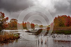 Autumn leaves frames the bird refuge in Presque Isle