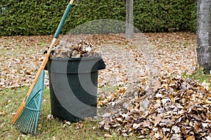 Autumn leaves in a garbage can - Horizontal