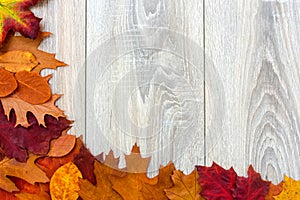 Autumn Leaves On Gray Wooden Background - Seasonal Autumn Concept