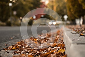 Autumn Leaves on Ground By Curb With Car Driving In Background.