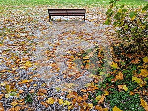 Autumn leaves on the ground and ice rain. A bench alone in the park