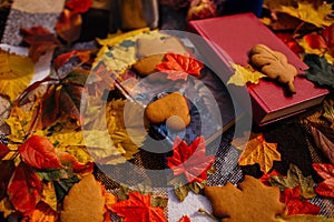 Autumn leaves and handmade cookies on the background of books and a blanket.