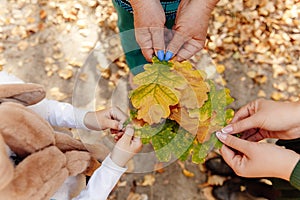 Autumn leaves in the hands of three women