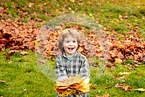 Autumn leaves. Happy child walking in autumn park. Cute boy playing with maple leaves outdoors. Toddler wears Autumn