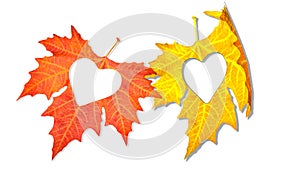 Autumn leaves with heart on wooden background love