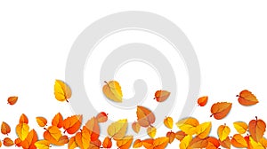 Autumn leaves horizontal banner isolated on white background. Advertising template with golden autumn leaf. Fall season