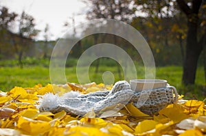 Autumn leaves and hot steaming cup of coffee.