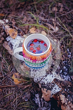Autumn leaves and hot steaming cup of herbal tea with berries in woolen coat. Fall season, leisure time and tea time break concept