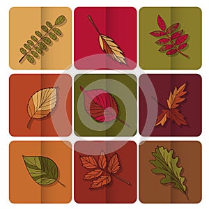 Autumn leaves icon. Red, yellow and green leaves of forest trees. Are used as buttons for web design