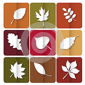 Autumn leaves icon. Red, yellow and green leaves of forest trees. Are used as buttons for web design