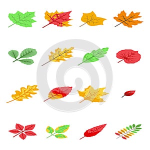 Autumn leaves icons set, isometric style