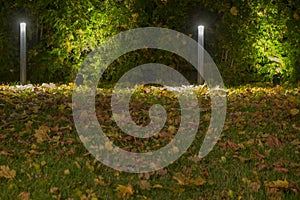 Autumn leaves in illuminated garden