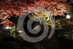 Autumn leaves and illumination in Flatly Landscaped Garden in Koko-en Garden, Himeji, Japan
