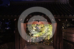 Autumn leaves and illumination in Kodaiji temple, Kyoto, Japan