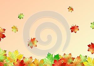 Autumn leaves illustrator cs4 photo