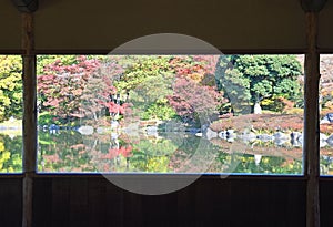 Autumn leaves at Japanese garden in National Showa Memorial Park