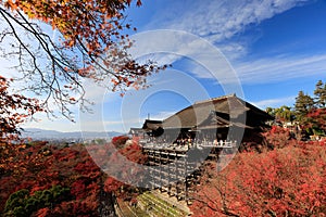 Autumn leaves in Kiyomizu temple, Kyoto, Japan