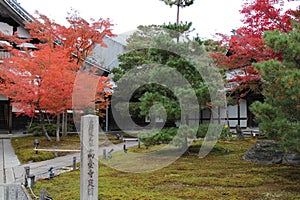 Autumn leaves in Kodaiji Temple, Kyoto, Japan