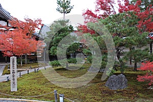 Autumn leaves in Kodaiji Temple, Kyoto, Japan