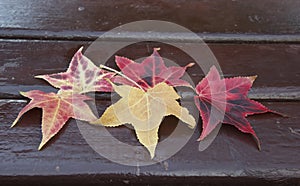 Autumn leaves lie on a bench in a park, texture. Autumn maple leaves of differents color on the bench in a park