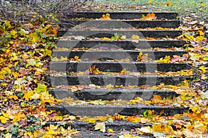 autumn leaves lie on the stone steps of the stairs.