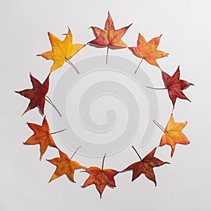Autumn leaves made round frame against white background.ncept