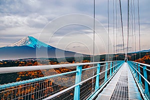 Autumn leaves at Mishima Skywalk. View of Mt. Fuji at Shizuoka in Japan