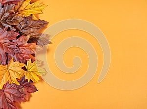 Autumn Leaves on modern trend orange background