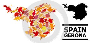 Autumn Leaves - Mosaic Map of Gerona Province