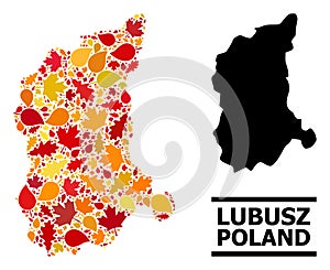 Autumn Leaves - Mosaic Map of Lubusz Province