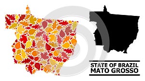 Autumn Leaves - Mosaic Map of Mato Grosso State