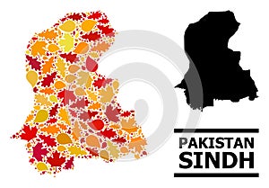 Autumn Leaves - Mosaic Map of Sindh Province